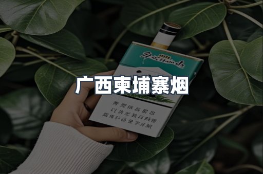 越南香烟系列